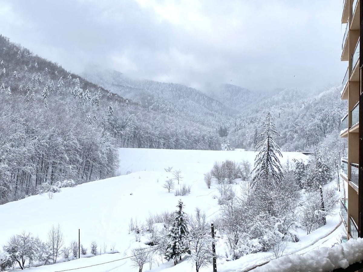 Nature View