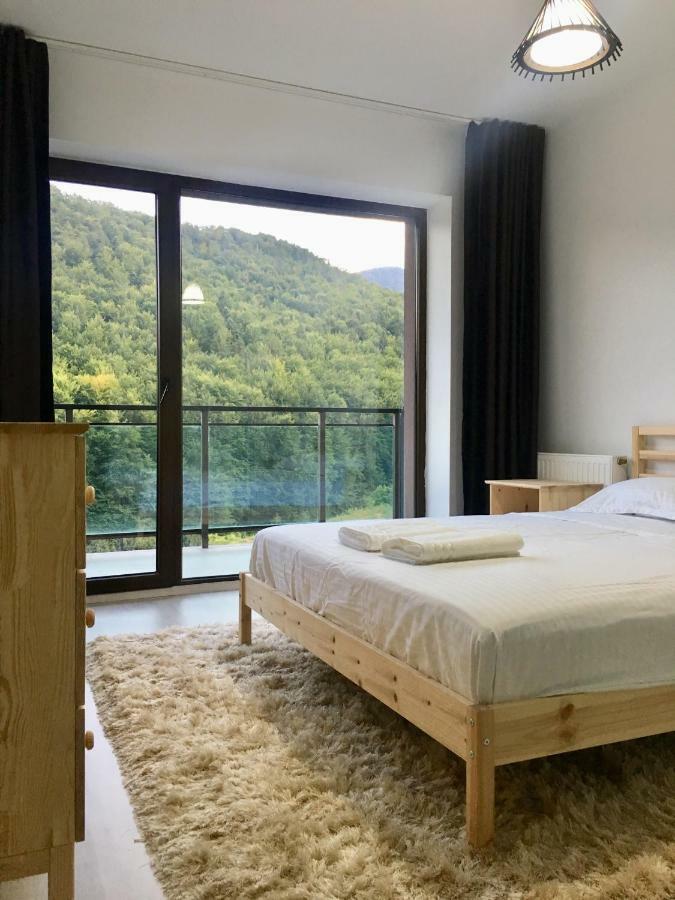 Nature View Apartment Brașov