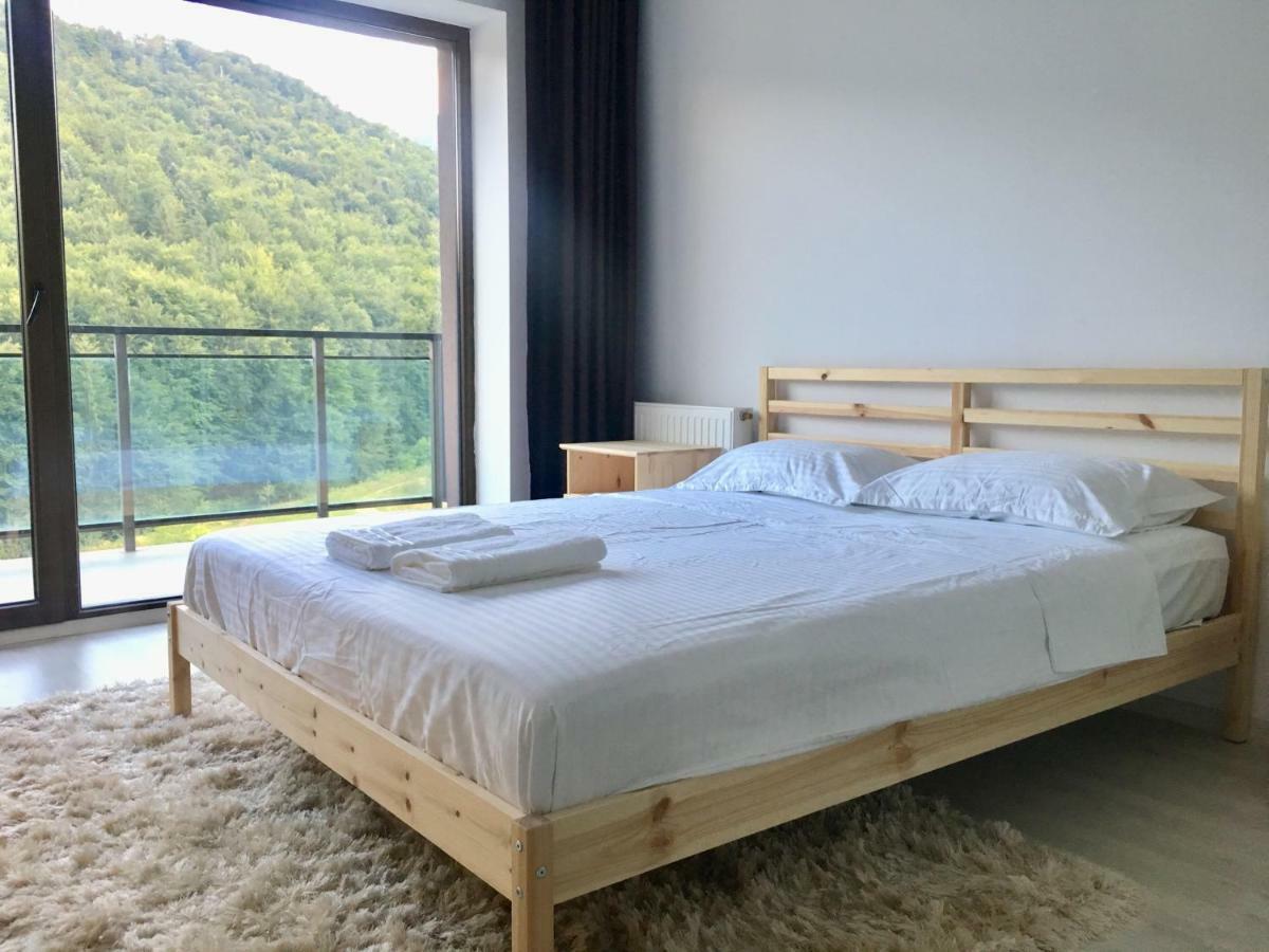 Nature View * Brașov