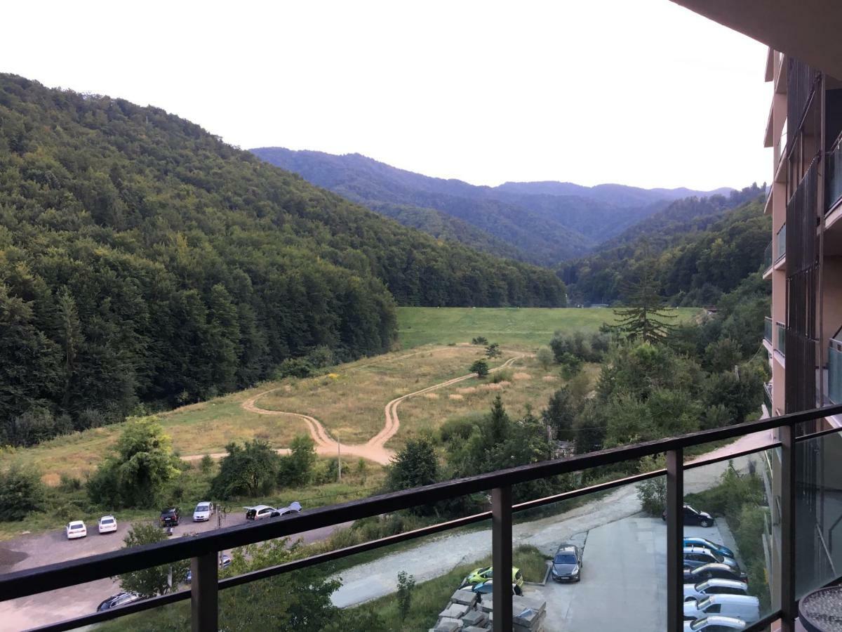 Nature View Brașov